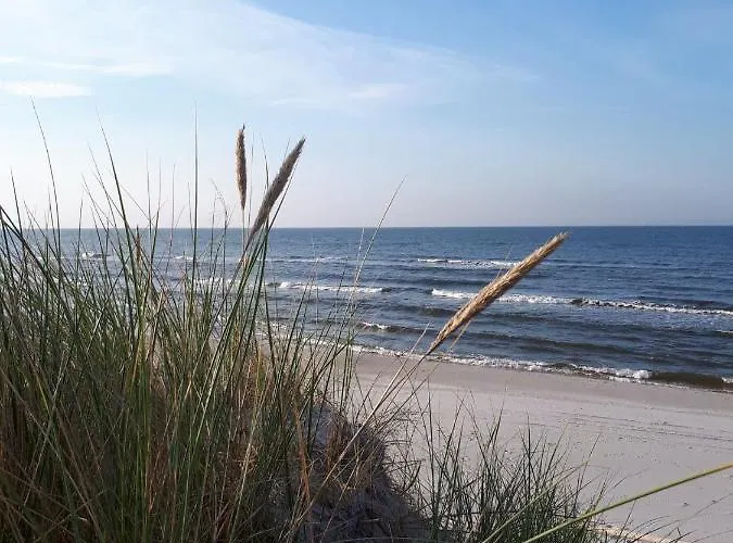 Ciche Wydmy بيت للعطل ساسينو